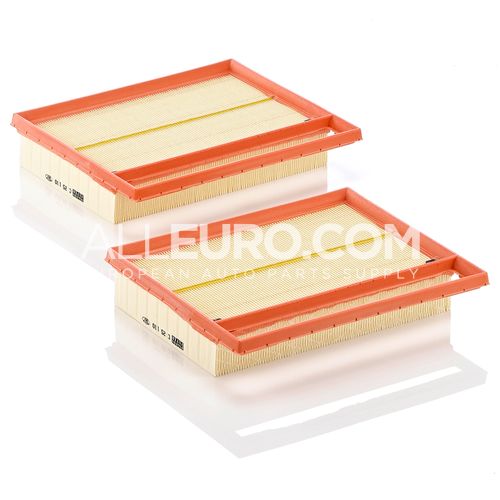 MANN FILTER Left Air Filter 2750940204 C 25 110-2